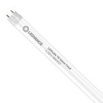 Ledvance Tubo LED T8 Performance Food (EM/Mains) Standard Output 5.2W 500lm - 833 Luce Calda | 60cm - Sostitutiva 18W Ledvance Tubo LED T8 Performance Food (EM/Mains) Standard Output 5.2W 500lm - 833 Luce Calda | 60cm - Sostitutiva 18W