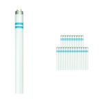 Confezione Multipack 25x Philips MASTER TL-D Secura 58W - 840 Bianco Freddo | 150cm Confezione Multipack 25x Philips MASTER TL-D Secura 58W - 840 Bianco Freddo | 150cm