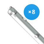 Confezione Multipack 8x Noxion Stagna LED Alloggio Poseidon V2.0 | Adatto Per 2x150cm Tubo LED Confezione Multipack 8x Noxion Stagna LED Alloggio Poseidon V2.0 | Adatto Per 2x150cm Tubo LED