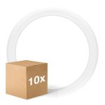 Confezione Multipack 10x Ledvance Tubo LED T9 Value Circolare (EM/Mains) 18.3W 2200lm - 840 Bianco Freddo | Sostitutiva 32W Confezione Multipack 10x Ledvance Tubo LED T9 Value Circolare (EM/Mains) 18.3W 2200lm - 840 Bianco Freddo | Sostitutiva 32W