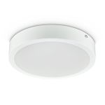 Philips Downlight LED DN065C Metallo Bianca 19W 2000lm 110D - 830 Luce Calda | 225mm - Ritaglio 200mm - IP20 Philips Downlight LED DN065C Metallo Bianca 19W 2000lm 110D - 830 Luce Calda | 225mm - Ritaglio 200mm - IP20