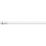 Philips MASTER LED Tube T8 (EM/Mains) Ultra Efficiency 11.9W 2500lm - 865 Luce Del Giorno | 120cm - Sostitutiva 36W Philips MASTER LED Tube T8 (EM/Mains) Ultra Efficiency 11.9W 2500lm - 865 Luce Del Giorno | 120cm - Sostitutiva 36W