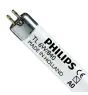 Philips MASTER Super 80 T5 Short 6W - 840 Bianco Freddo | 21cm